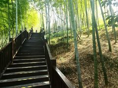 -上海佘山世茂艾美酒店