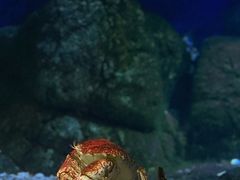 -珠海长隆海洋王国