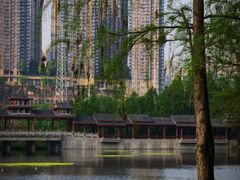 -重庆彩云湖湿地公园
