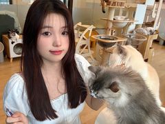 -有喵·猫咖·狗咖·30几只猫10只小狗(岗厦店)