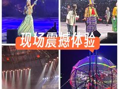-广州长隆国际大马戏