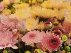 -爱尚幸福鲜花(上地实体店)
