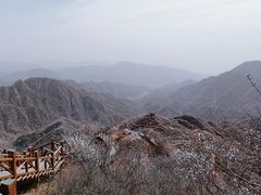 -大岭沟猕猴桃谷风景区