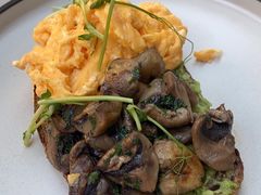 -Wagas沃歌斯(大学路店)