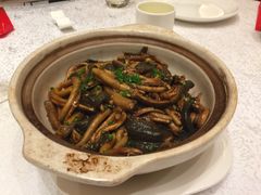 -红豆杉庄会议中心