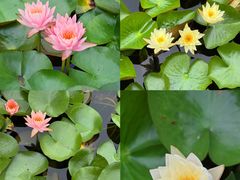 -白鹭湾湿地公园