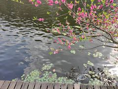 -绍兴东湖风景区