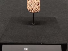 -盘龙城遗址博物院