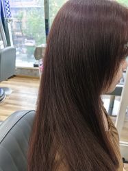 -YESIDO椰岛造型