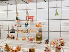 -柴务处·柴犬主题狗咖