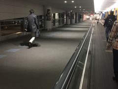 -中部国际机场
