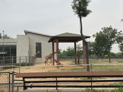 -石家庄市动物园