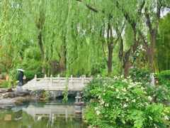 -趵突泉景区