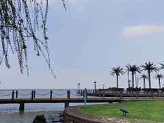 -天和楼·精致太湖酒家(太湖店)