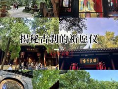 -上海月湖雕塑公园