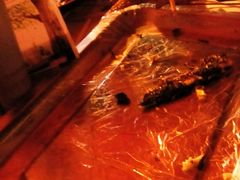 android_upload_pic-小七碳火烧烤(越溪店)