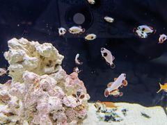 -沈阳海洋探索中心