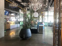 -树熊(三川店)