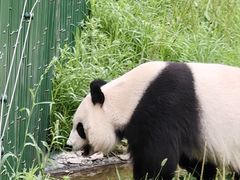-沈阳森林动物园