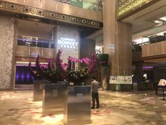 -广州粤海喜来登酒店