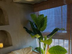 -施奈儿.洗头頭療.按摩SPA.采耳(上梅林店)