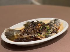 豉汁蒸海鲈鱼-海口万豪中餐厅·粤菜·海南菜· 平价海鲜·茶点· KTV包房