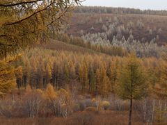 -塞罕坝国家级自然保护区