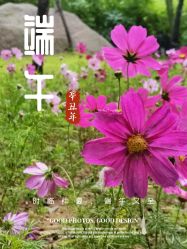 -鼎极摄影(双井店)