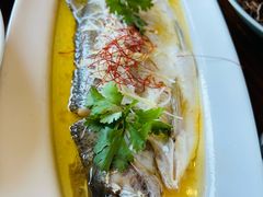 -便宜坊烤鸭店(科创店)