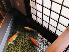 -尺山寸水日料(马桥满天星店)