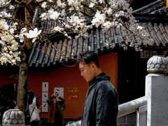 -灵谷景区