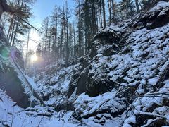 -峡谷浮石林景区