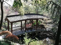 -杭州半山国家森林公园