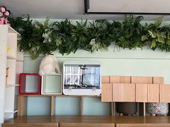 -这儿没有猫·猫咖萌宠馆·撸猫