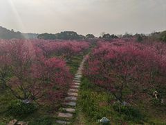 -凤凰沟景区