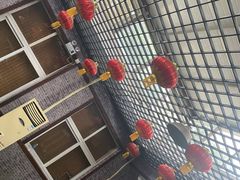-亲兄弟真人CS团建拓展基地