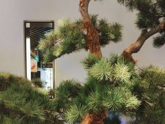 -绿茶餐厅(南方商城店)