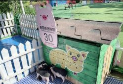 -萌宠亲子动物乐园(槐房万达店)