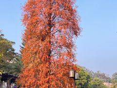 -广东外语外贸大学(白云山校区)