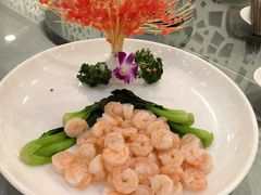 -阙里宾舍(孔府店)