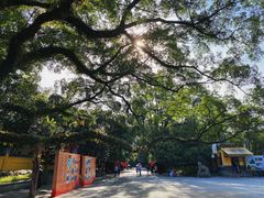 -桂林独秀峰王城景区