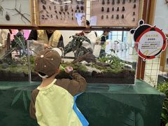 -武汉荟聚
