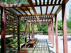 -大兴滨河森林公园