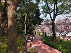 -北外滩滨江绿地