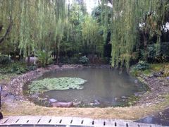 梦清园-苏州河梦清园环保主题公园