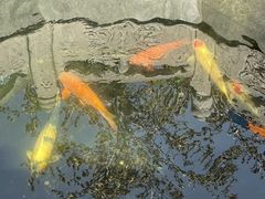 -西安市广仁寺