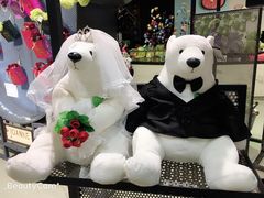 -济州岛泰迪熊博物馆