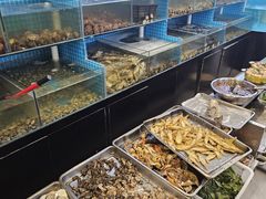 -鑫渔港海鲜本地菜·山海关浑锅(东戴河店)