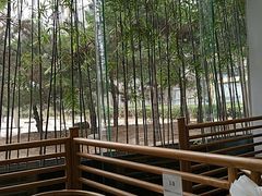 -御仙都北京菜馆·烤鸭店(双井店)
