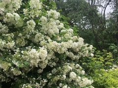 -北京植物园南门售票处